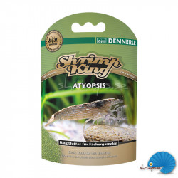 Shrimp King - Atyopsis