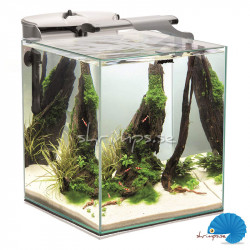 Aquael Fish & Shrimp Set Smart Duo 49L White