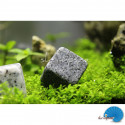 Nano Bricks 12pcs - Vine red