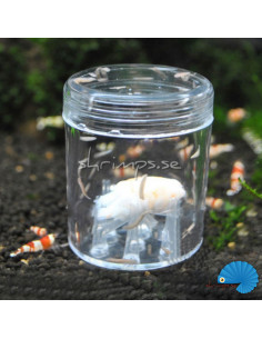 Planaria trapper 2
