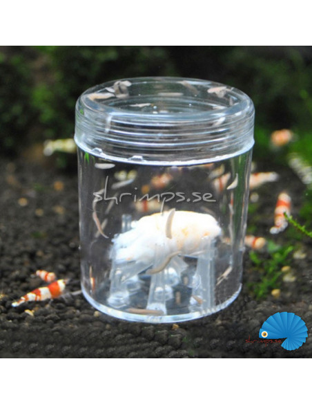 Planaria trapper
