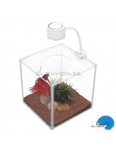 Marina Cubus Betta Kit 3.4L LED