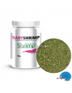 Shrimp  Nature - Babyshrimp