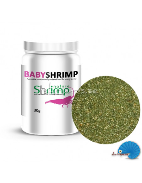 Shrimp  Nature - Babyshrimp