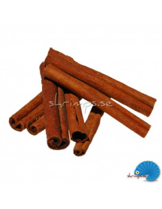 Shrimp Nature - Cinnamon bark