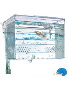 Fluval - Hang on breeding box 1.1L 2