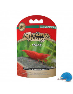 Shrimp King - Color
