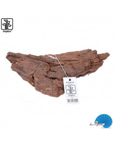 Tropica - Driftwood