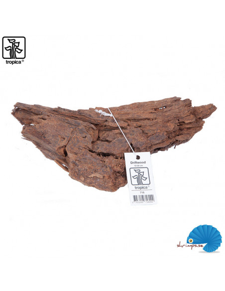 Tropica - Driftwood