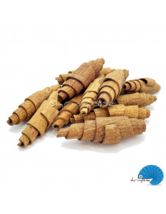 Cinnamon Croissant 6cm