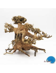 Bonsai Tree