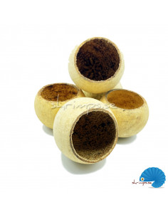 Bell Cup 5-7cm