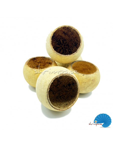 Bell Cup 5-7cm
