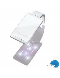 Leddy Smart PLANT 2 White