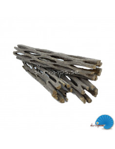 Cholla Wood mini - Kaktusträ