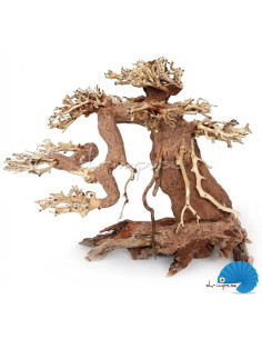 Bonsai Wood S 15x10x8cm