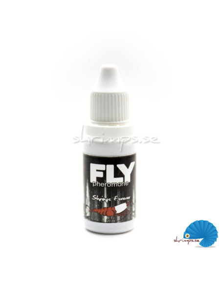 Shrimps Forever - Fly