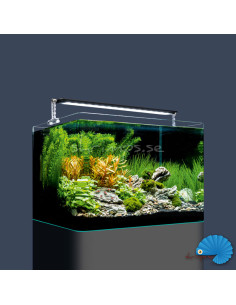 Dennerle - Nano Tank Plant Pro - 35L LED 2