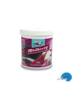 Shrimps Forever Mulberry