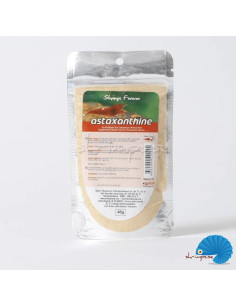 Shrimps Forever - Astaxanthin
