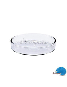 Glass Shrimp Feeding Dish