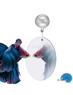 Floating Betta mirror - 7cm