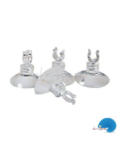 zolux -suction cup 4/6mm 4st