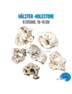 Rock Box - HoleStone perfect rock for Aquascaping 2