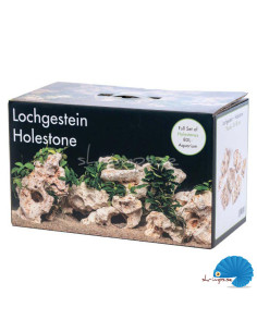 Rock Box - HoleStone perfect rock for Aquascaping