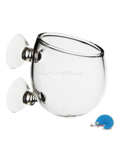 Glass flower pot