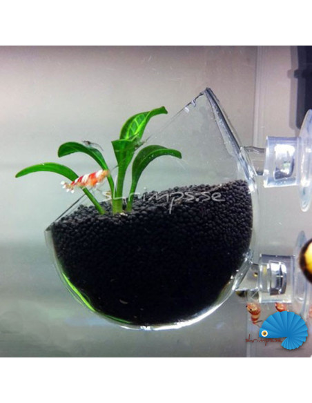 Glass flower pot
