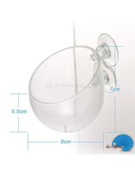 Glass flower pot