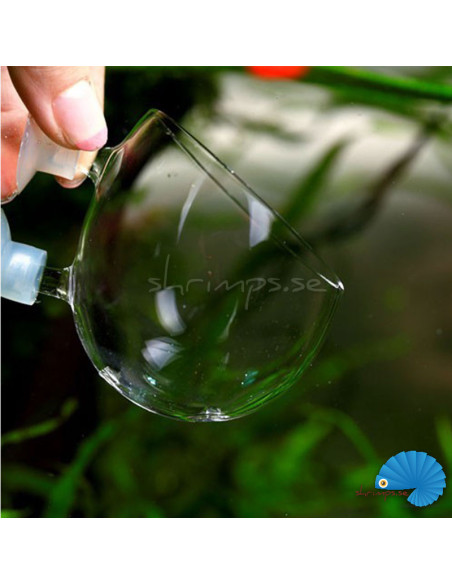 Glass flower pot