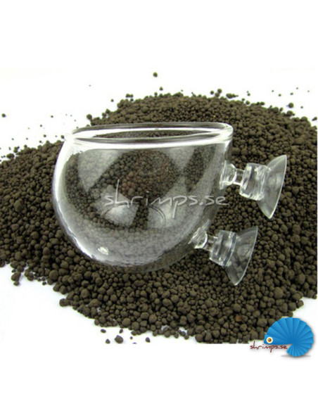 Glass flower pot