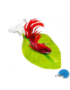 Betta bed / Leaf Hammock