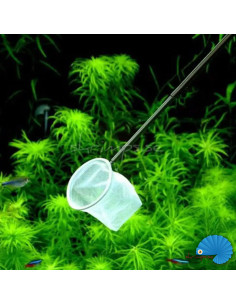 Extendable 3D Shrimp Net 2