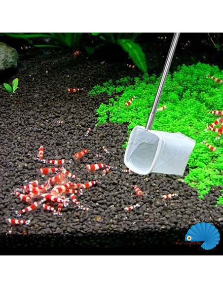Extendable 3D Shrimp Net