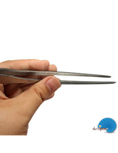 Straight Tweezer 2