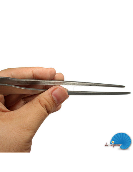 Straight Tweezer