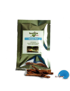 Tantora - Catappa Bark 20gram
