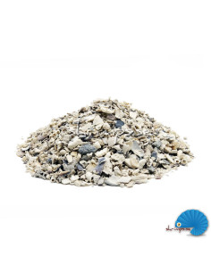 Crushed seashells