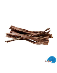 Hobby - Catappa Bark 12pcs