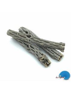 Cholla Wood - Kaktusträ