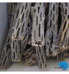 Cholla Wood mini - Kaktusträ 2