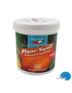 Shrimps Forever - Algae Snail (omnivore)