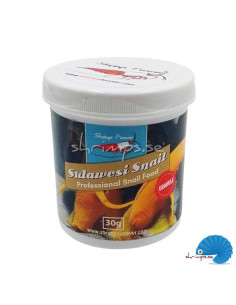 Shrimps Forever - Sulawesi Snail