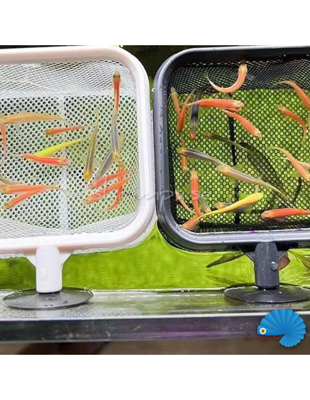 3D Fish and shrimp net