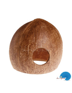 Coconut Cave 2