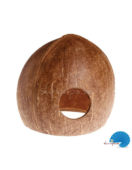Coconut Cave