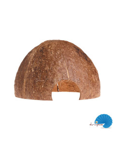 Coconut Cave